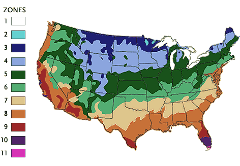 What Is My Plant Hardiness Zone Usda Climate Plant Growing Zone
